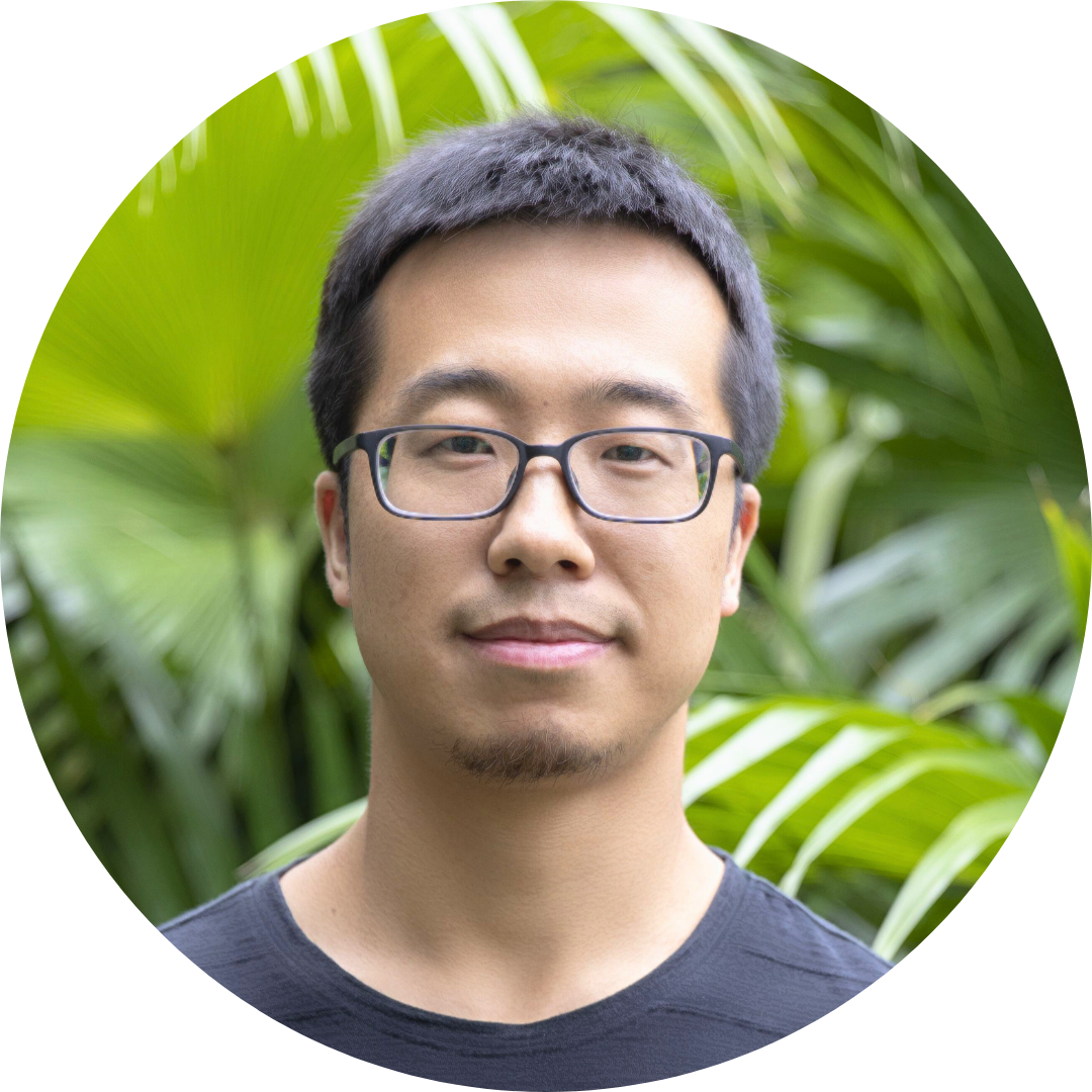 Prof. Boyi Yang